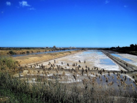 Raw nature in the salt pans